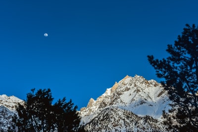 白天，绿树旁的雪山